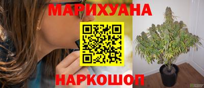 стаф Гусь-Хрустальный