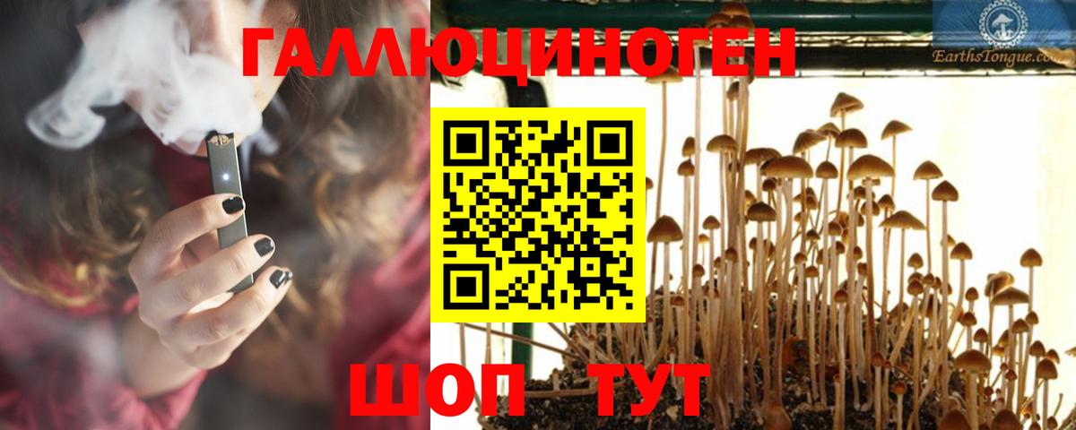 Псилоцибиновые грибы прущие грибы Мелеуз