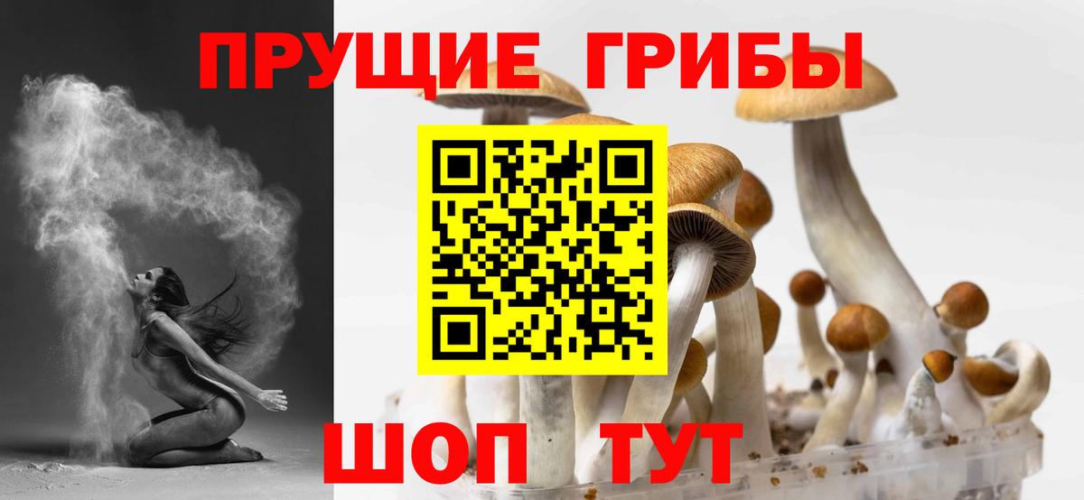 Галлюциногенные грибы прущие грибы  Галлюциногенные грибы Psilocybine cubensis  Вход с VPN  Мелеуз 
